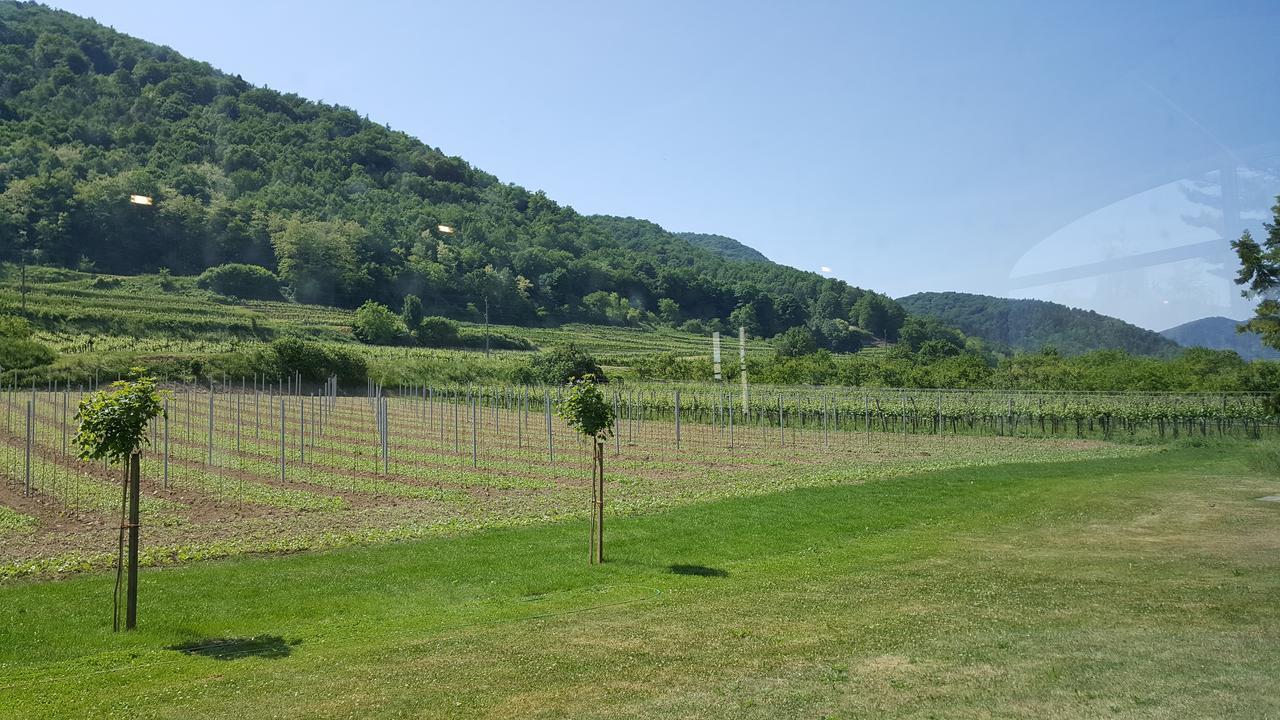 Gasthof Zur Wachau Hofarnsdorf Exteriör bild